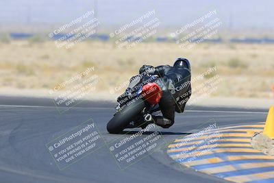 media/May-13-2023-SoCal Trackdays (Sat) [[8a473a8fd1]]/Turn 11 Backside (945am)/